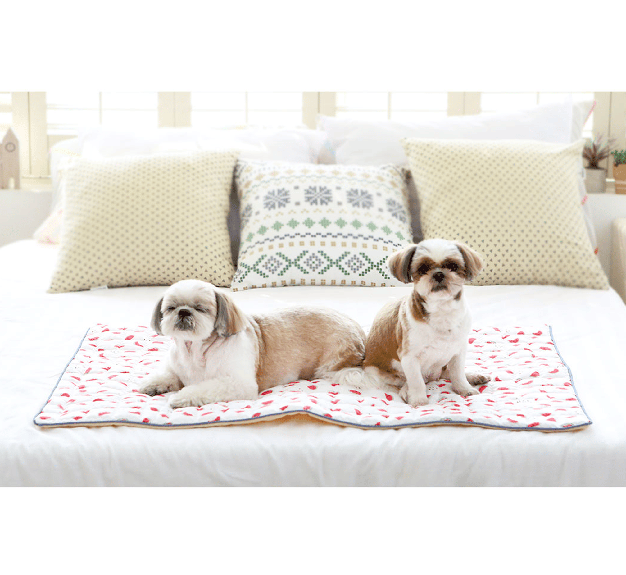 Personality Cooling Mat (Sweet Watermelon) Pet Season